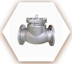 UNS N06600 Check Valve