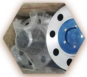 UNS S32760 Reducing Flange