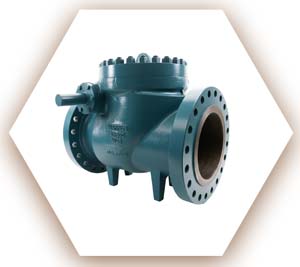 Warren Swing Check Valves