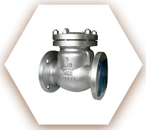 WCB Check Valve