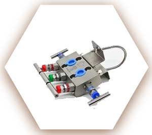 WNR 1.4404 Manifold Valve
