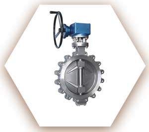 WNR 2.4360 Butterfly Valve
