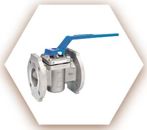 WNR 2.4856 Plug Valve
